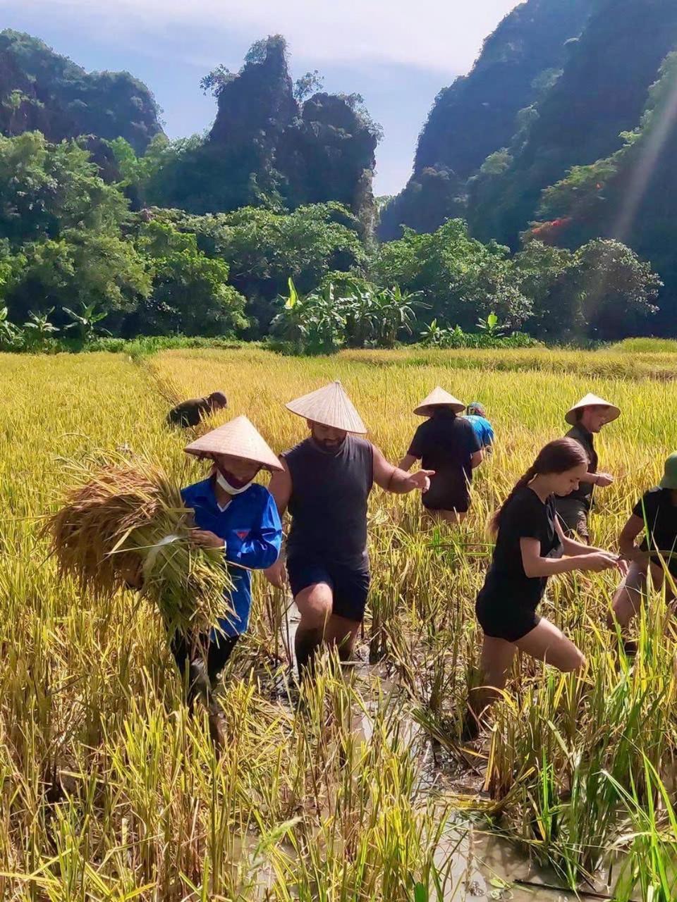 Viet Anh Homestay Ninh Binh Buitenkant foto